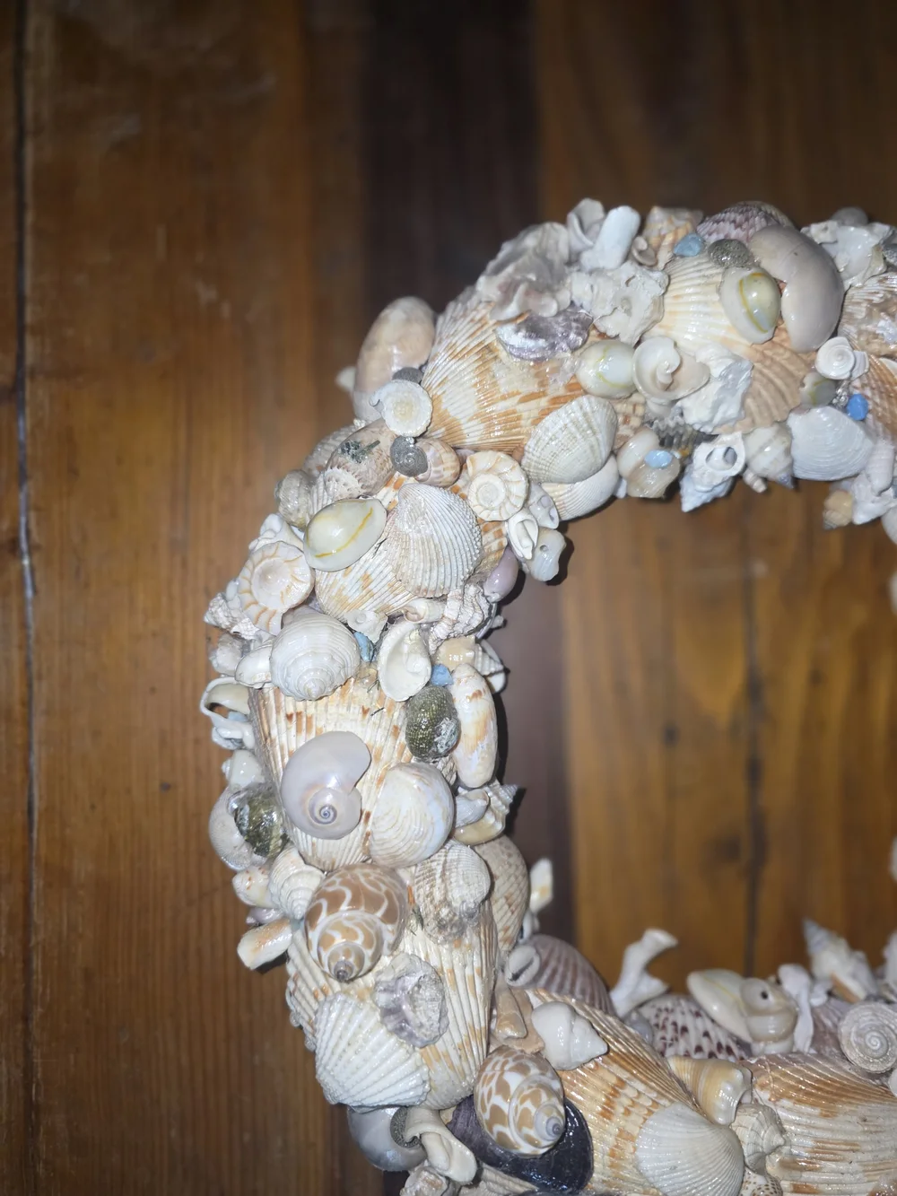 Seashell  Wreath in Natural Multi-Color